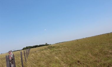 FINCA EN VENTA – CUMARIBO – VICHADA