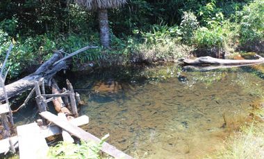 FINCA EN VENTA – CUMARIBO – VICHADA