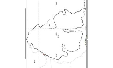 FINCA EN VENTA – CUMARIBO – VICHADA