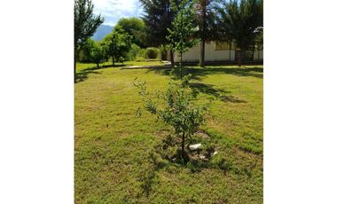 VENTA- TERRENO DE 2 HAS- SAUJIL