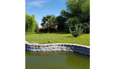 VENTA- TERRENO DE 2 HAS- SAUJIL