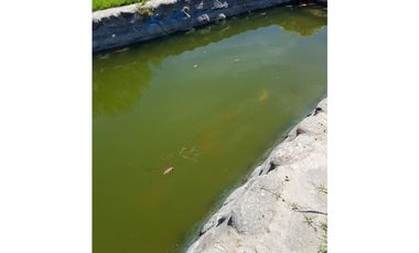VENTA- TERRENO DE 2 HAS- SAUJIL