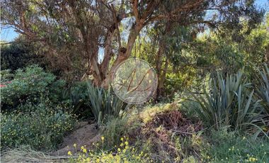 LOTE MULTIFAMILIAR / NIZA Y ESTOCOLMO