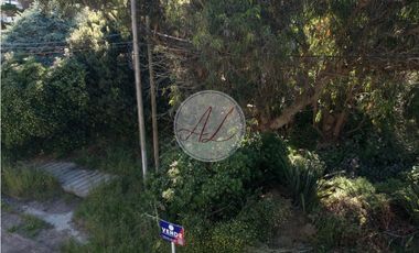 LOTE MULTIFAMILIAR / NIZA Y ESTOCOLMO