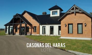 lote casonas del haras