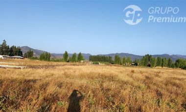 Parcela en Venta en RUTA I-336 CRUCEROS