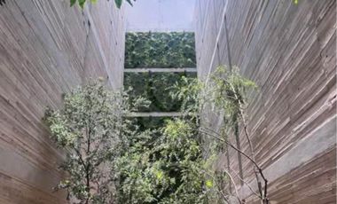 Departamento en renta en Cuauhtémoc