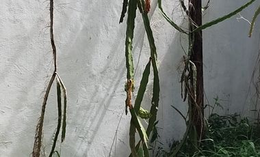 Casa en Venta en Campeche