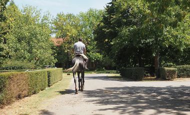 San Jorge Village 6 ambientes