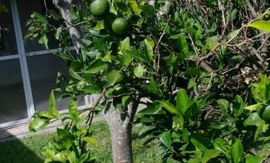 Casa en venta - 2 Dormitorios 1 Baño - 350Mts2 - Las Toninas