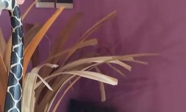 PH en venta - 2 Dormitorios 1 Baño - 170Mts2 - Moreno