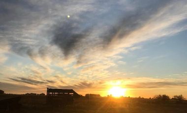 Chacra de 12 has en Pehuajó