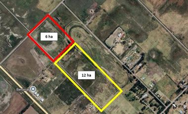 Chacra de 12 has en Pehuajó