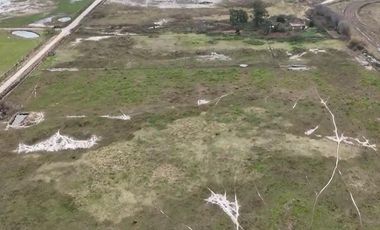 Chacra de 12 has en Pehuajó