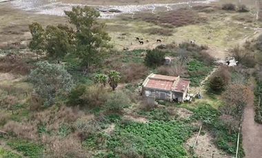 Chacra de 12 has en Pehuajó