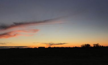 Chacra de 12 has en Pehuajó