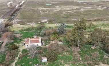 Chacra de 12 has en Pehuajó