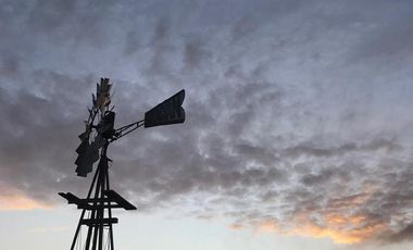 Chacra de 12 has en Pehuajó