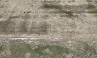 Chacra de 12 has en Pehuajó