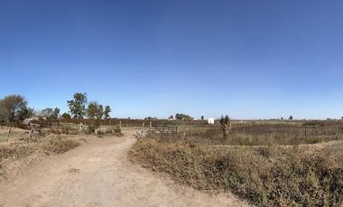 Chacra de 12 has en Pehuajó