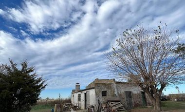 Chacra de 12 has en Pehuajó