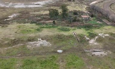 Chacra de 12 has en Pehuajó