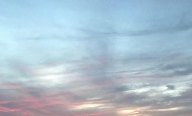 Chacra de 12 has en Pehuajó