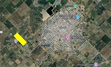 Chacra de 12 has en Pehuajó