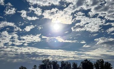 Chacra de 12 has en Pehuajó