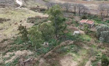 Chacra de 12 has en Pehuajó