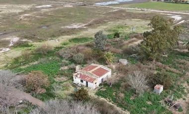 Chacra de 12 has en Pehuajó