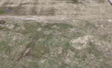 Chacra de 12 has en Pehuajó