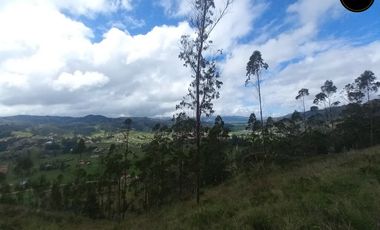 Terreno de venta en Tarqui - Chaullayacu – código:21652