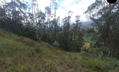 Terreno de venta en Tarqui - Chaullayacu – código:21652