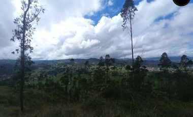 Terreno de venta en Tarqui - Chaullayacu – código:21652