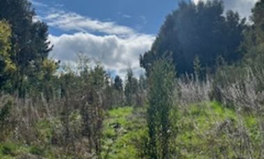 OPORTUNIDAD DE VIVIR EN LA TRANQUILIDAD DEL SUR