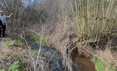 OPORTUNIDAD DE VIVIR EN LA TRANQUILIDAD DEL SUR