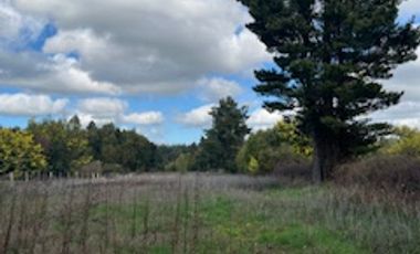 OPORTUNIDAD DE VIVIR EN LA TRANQUILIDAD DEL SUR