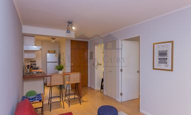 ARRIENDO DEPARTAMENTO AMOBLADO 1D 1B