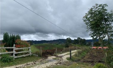 VENTA CASA FINCA LOTE 5.000 M²- LA UNIÓN ANTIOQUIA