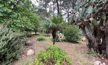 FINCA EN RENTA EN LAS JOYAS