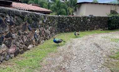 FINCA EN RENTA EN LAS JOYAS