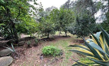 FINCA EN RENTA EN LAS JOYAS