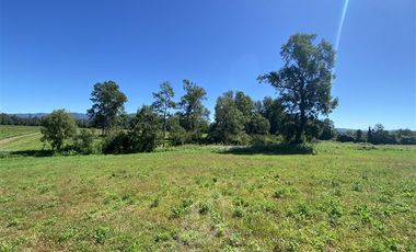 Agrícola en Venta en COD39344 Parcela 6 Vilcun