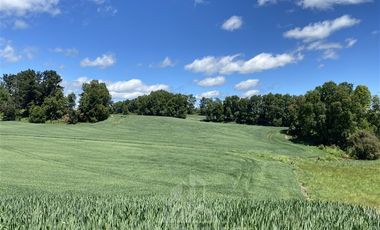 Agrícola en Venta en COD39344 Parcela 6 Vilcun