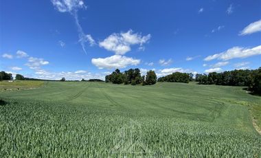 Agrícola en Venta en COD39344 Parcela 6 Vilcun