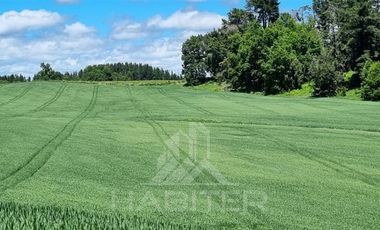 Agrícola en Venta en COD39344 Parcela 6 Vilcun