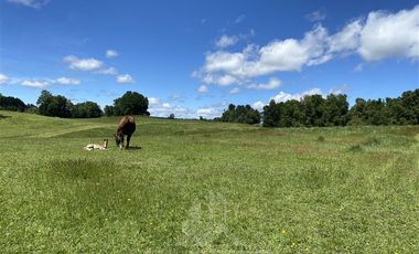 Agrícola en Venta en COD39344 Parcela 6 Vilcun