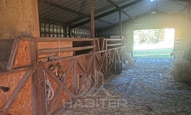 Agrícola en Venta en COD39344 Parcela 6 Vilcun