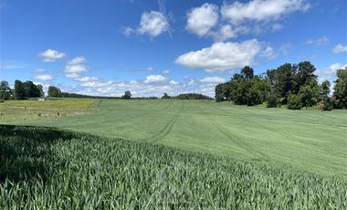 Agrícola en Venta en COD39344 Parcela 6 Vilcun